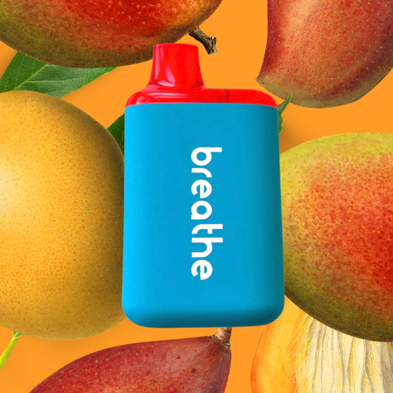 Mix and Match 3 Flavors Bundle