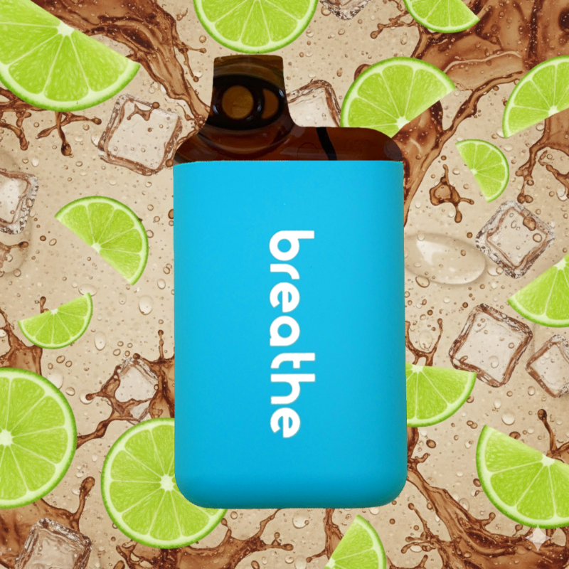 Try ALL 4 Flavors bundle